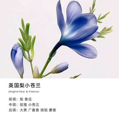 아로마 테라피 촛불 과 아크릴 손 선물 가정 에서 오래 지속 되는 향수 를 위해 필수품