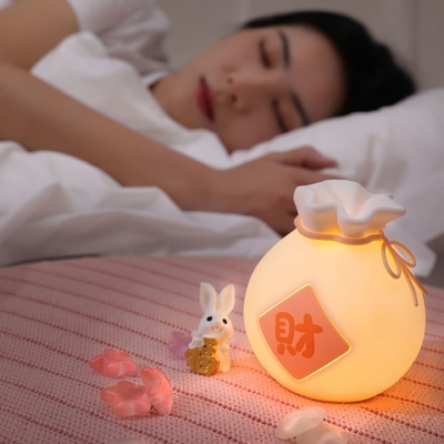 페스티벌 선물 크리에이티브 럭키 가방 LED 타이밍 분위기 빛 두 레벨의 덤핑